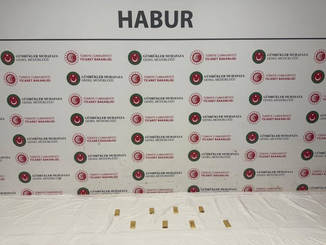 Habur’da Tırda 14.6 Milyon Liralık Kaçak Altın Ele Geçirildi
