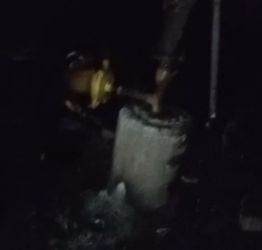 Adana’da Depo Yangınında 40 Güvercin Telef Oldu