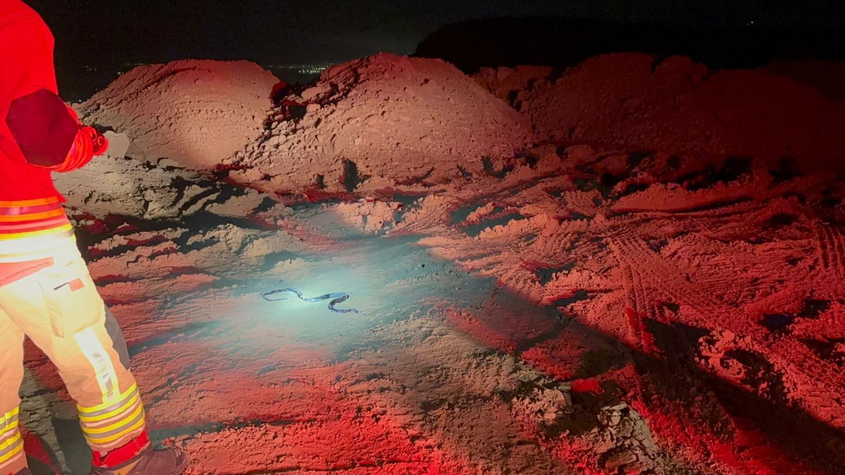 Hatay’da Camide Görülen Yılan İtfaiye Ekiplerince Yakalandı