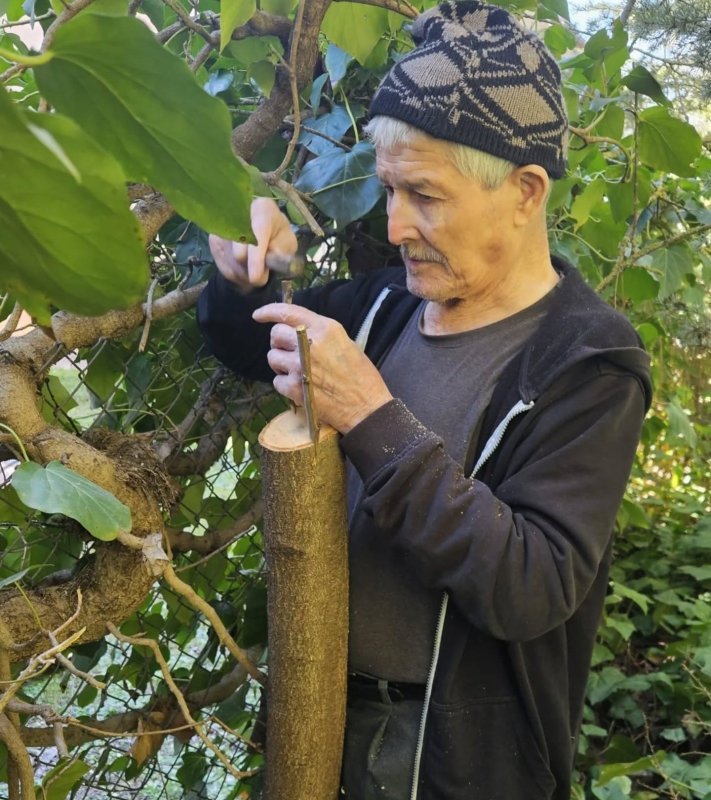Huzurevindeki Büyükler Bahçeyi Emekleriyle Güzelleştiriyor