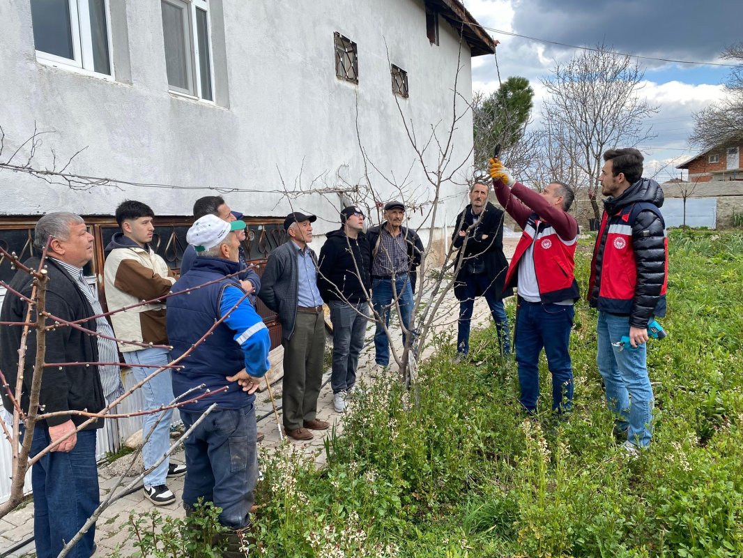 Tavşanlı’da üreticilere meyve ağaçlarında budama eğitimi