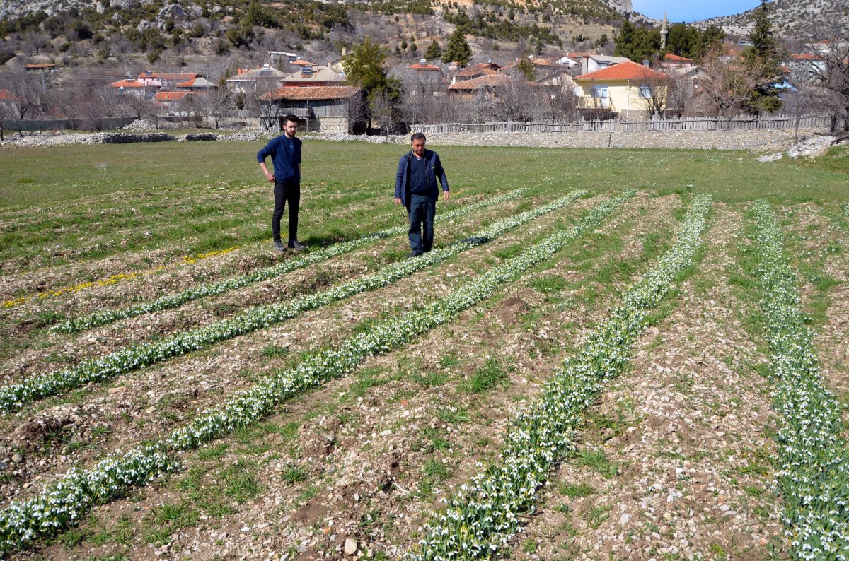 Toros Kardeleni İçin Kontrollü Üretim Ve İhracat Modeli Sürdürülüyor