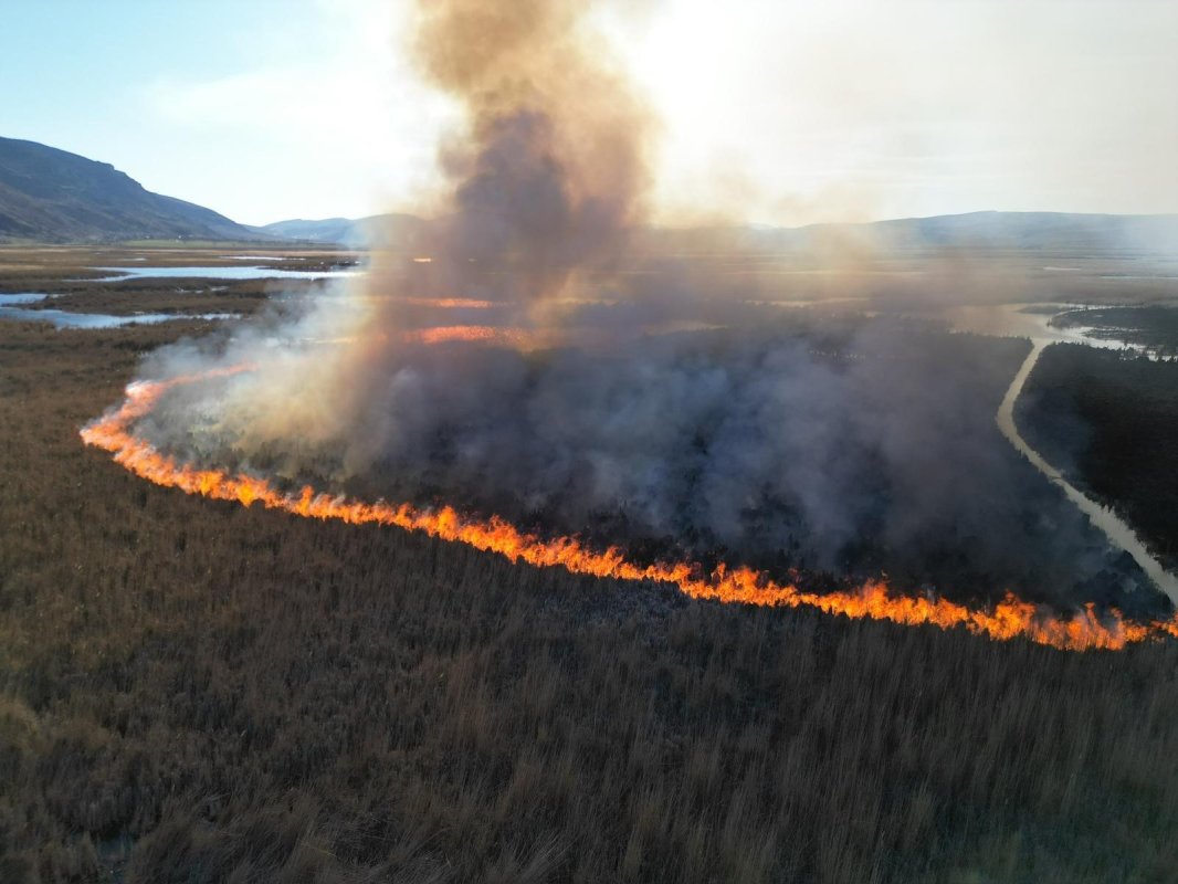 Karamık Gölü’ndeki Sazlık Alanda Yangın: 1 Hektarlık Alan Zarar Gördü
