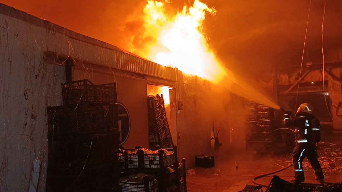 Manavgat’ta Muz Paketleme Tesisinde Yangın: Soğuk Hava Deposu Büyük Hasar Gördü