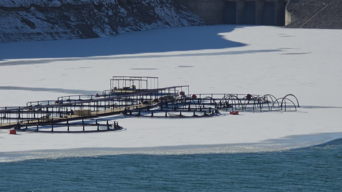 Zernek Barajı’nda Buzlar Çözülmeye Başladı