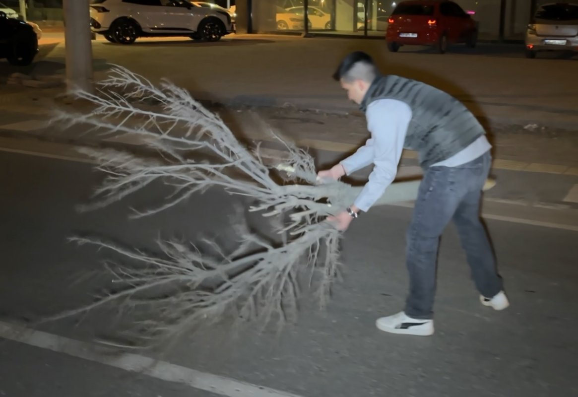 Kaza Sonrası Cam Parçalarıyla Dolan Yolu Vatandaş Kırılan Ağaçla Temizledi