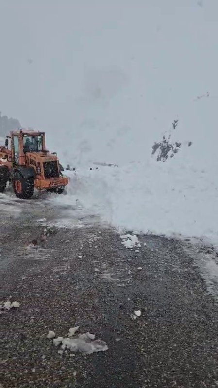 Erzurum’da Yola Çığ Düştü