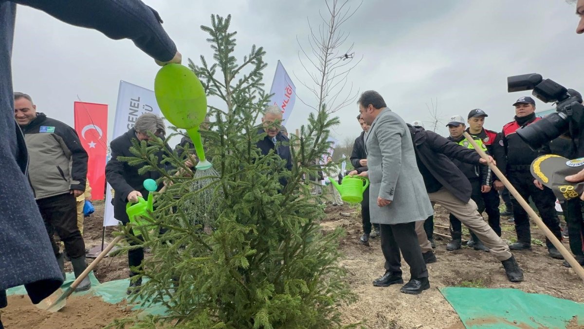 Bursa’da Yanan 80 Hektarlık Alan Yeniden Yeşillendirildi