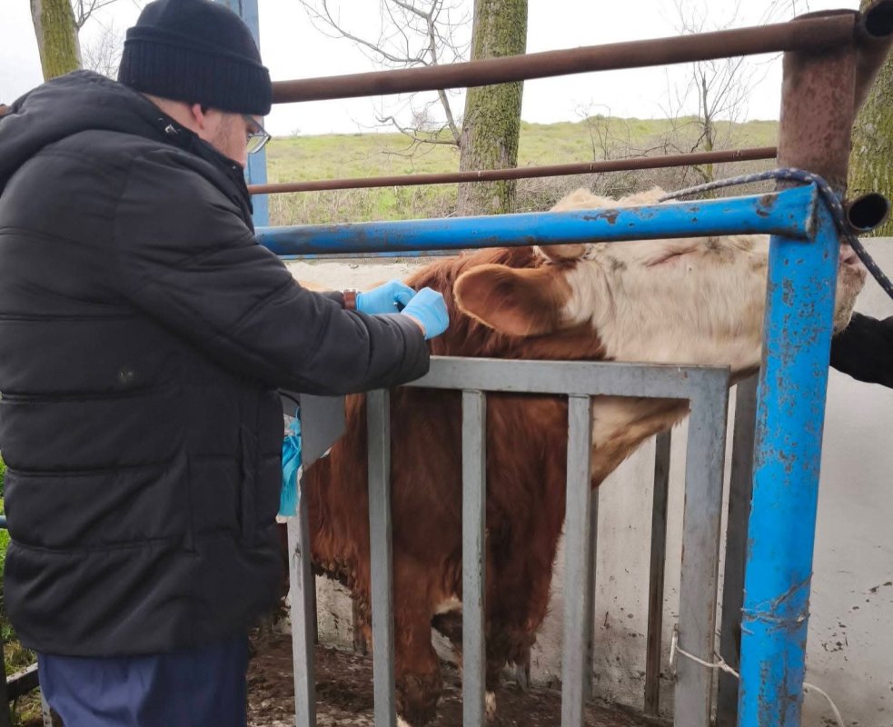 Çorlu’da Hayvancılık İşletmelerine Sağlık Taraması