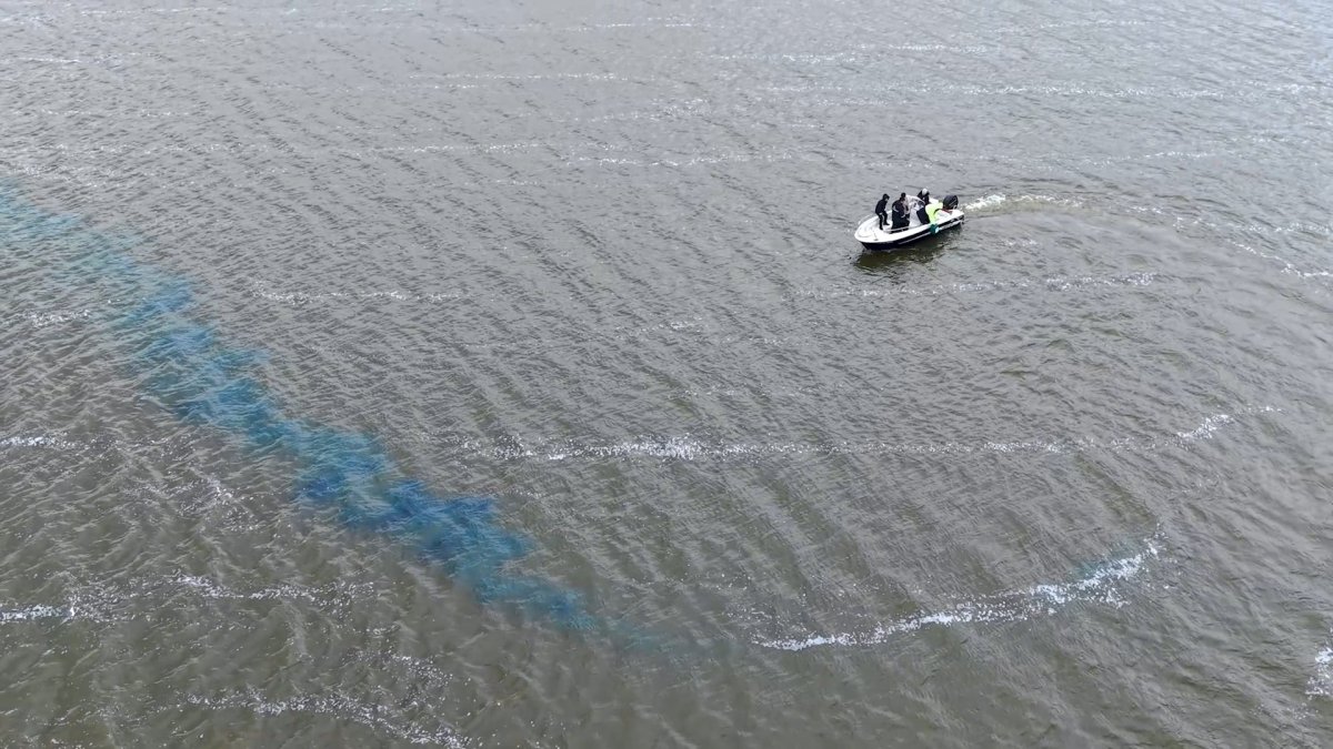 Türkmenli Göleti’nde Su Kalitesi İçin Harekete Geçildi