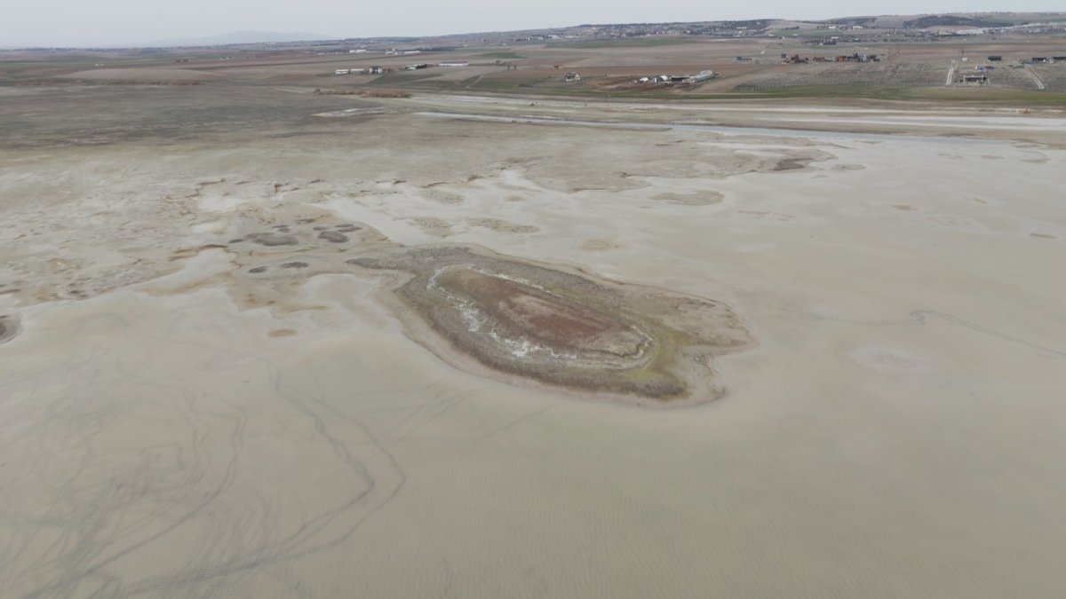 Allı Turnaların Göç Rotası Tehlikede: Baraj Gölü Kuruma Noktasında