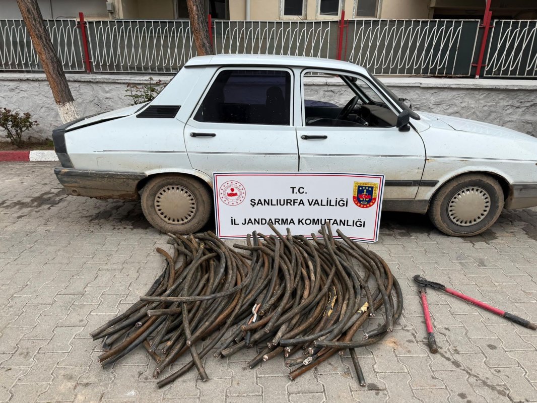 Şanlıurfa’da Kablo Hırsızı Suçüstü Yakalandı