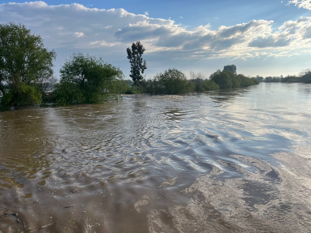 Menderes Nehri Taştı, Yol Sular Altında Kaldı