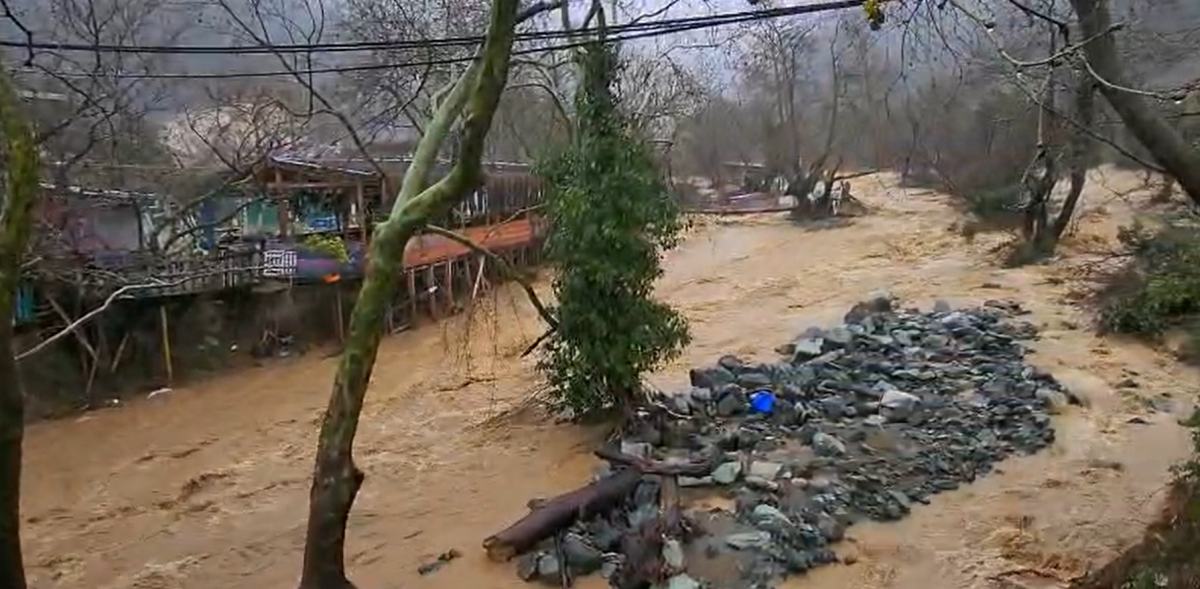 Yalova’da Dereler Taştı: 5 Büyükbaş Hayvan Telef Oldu