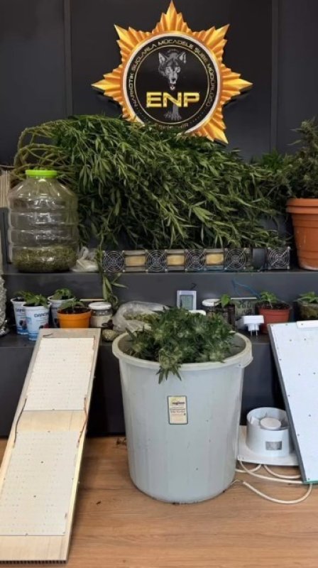 Eskişehir’de Uyuşturucu Operasyonları: 28 Tutuklama