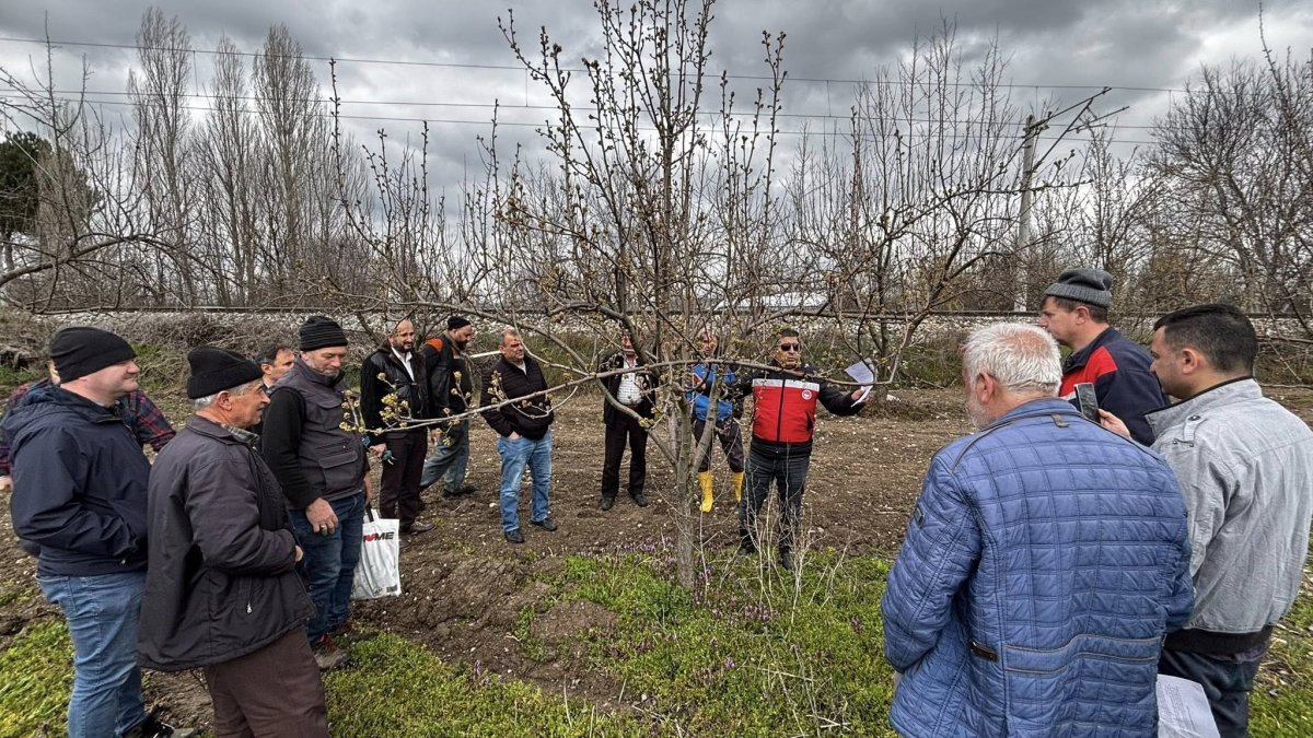 Kütahya’da Üreticilere Budama Ve Aşılama Eğitimi