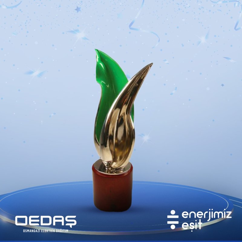 Enerjimiz Eşit Projesi Uluslararası Ödül Kazandı