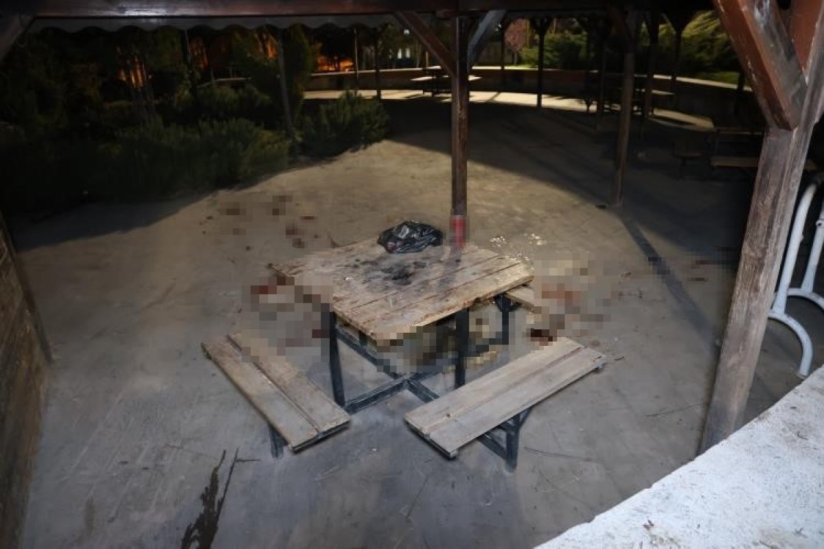 Park lambası tartışması kanlı bitti: 3 yaralı