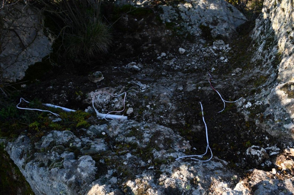 Define Kazısına Suçüstü: Patlayıcılarla Yakalandılar