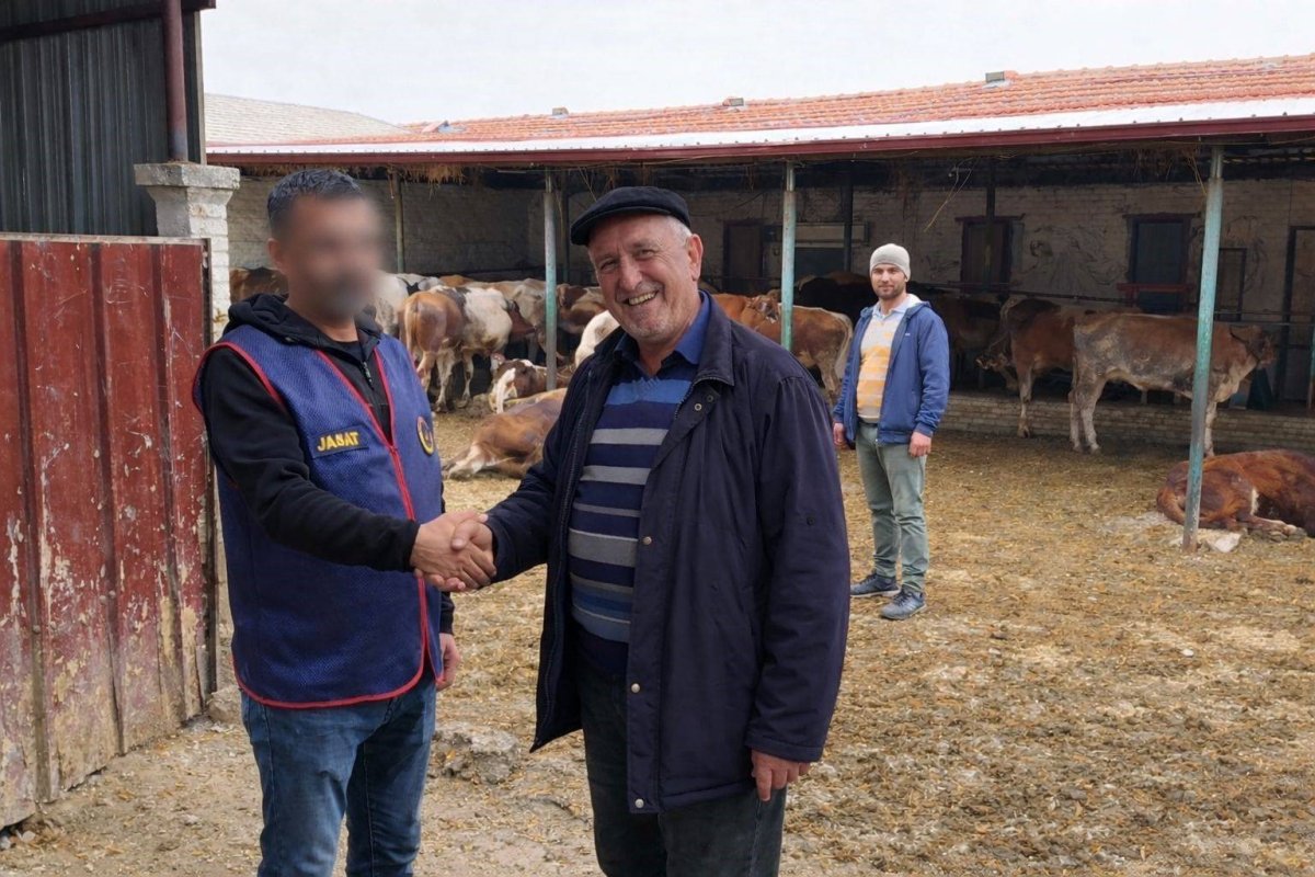 Hamam Tuzağıyla Büyük Vurgun: 36 Büyükbaş Hayvan Çalındı