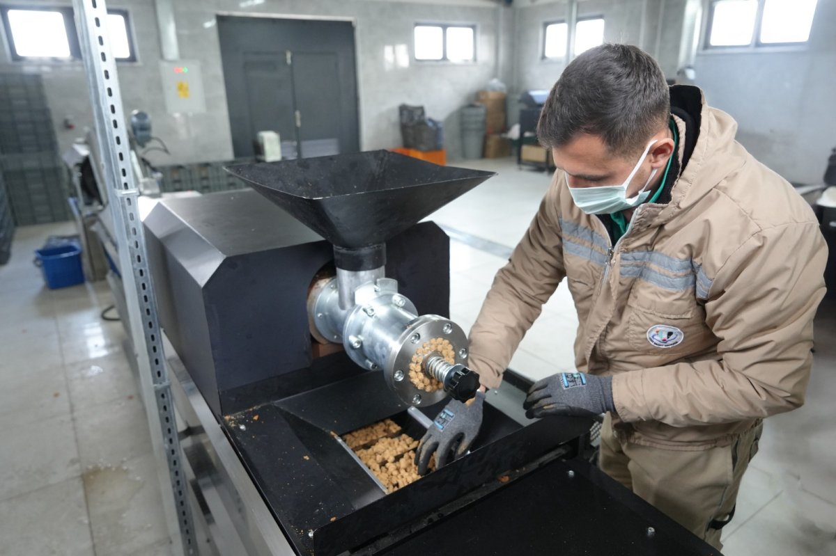 Atık Yemekler Can Dostlara Mama Oluyor