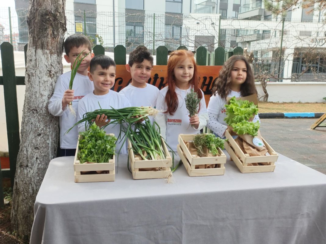 Miniklerden Büyük Proje: Topraksız Tarımda İlk Hasat Heyecanı