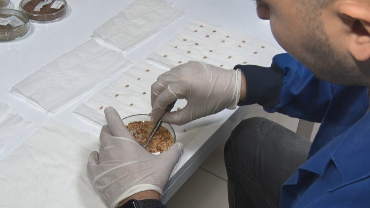 Küresel Gerginlik Gıda Güvenliğini Tetikledi: Türkiye’den Stratejik Hamle