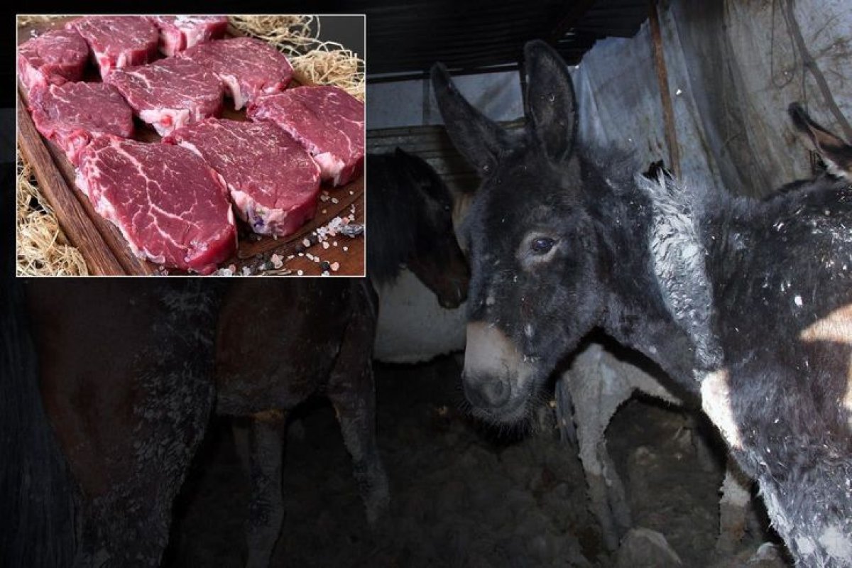 Bakanlık Hileli Gıdaları İfşa Etti: Pidede Tek Tırnaklı Et Skandalı